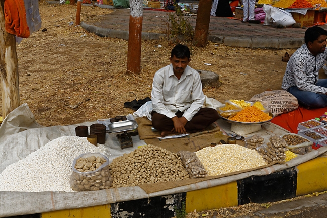 Grottes d'Ajanta-470